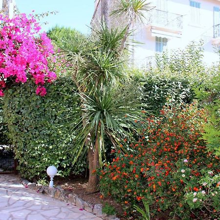 Central Avec Jardin Кан Екстериор снимка
