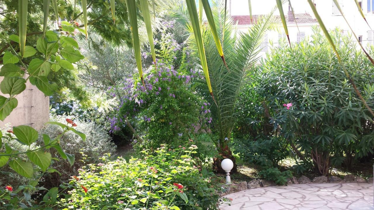 Central Avec Jardin Кан Екстериор снимка